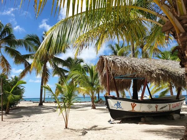 Excursión a Isla Saona: El Paraíso Definitivo del Caribe